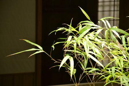 1 et 2 juillet Takamatsu Kotohira 325