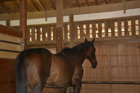 1 et 2 juillet Takamatsu Kotohira 331