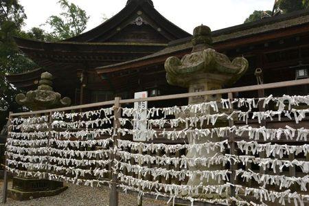 1 et 2 juillet Takamatsu Kotohira 261