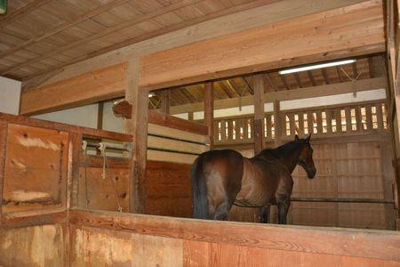 1 et 2 juillet Takamatsu Kotohira 332