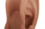 earphone fake ear tidy no cord 160x105 Tidy : ranger vos écouteurs dans des oreilles en silicone