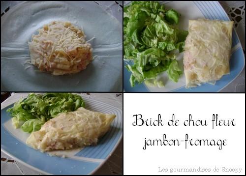 Brick-de-chou-fleur-jambon-fromage.jpg