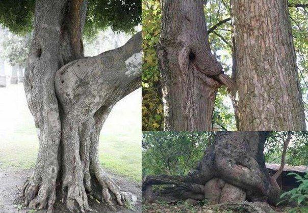 La nature est spéciale.jpg