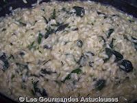 Risotto aux Orties