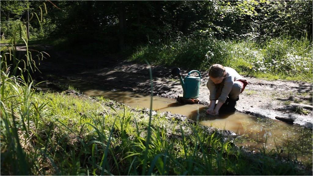 [Avis] A pas de loup d’Olivier Ringer
