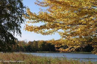 Le premier plan d'aménagement et de développement pour le Grand Montréal tiendra-t-il sa promesse d'un développement durable? Le premier plan d'aménagement et de développement pour le Grand Montréal tiendra-t-il sa promesse d'un développement durable?