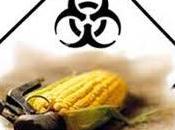 Apparition résistances certains insectes