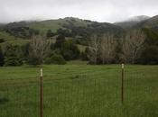 L’empereur George Lucas perd bataille contre voisins rebelles