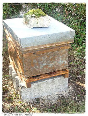 1ere ruche du lac audry