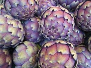 Les cadres d’artichaut Les cadres d’artichaut