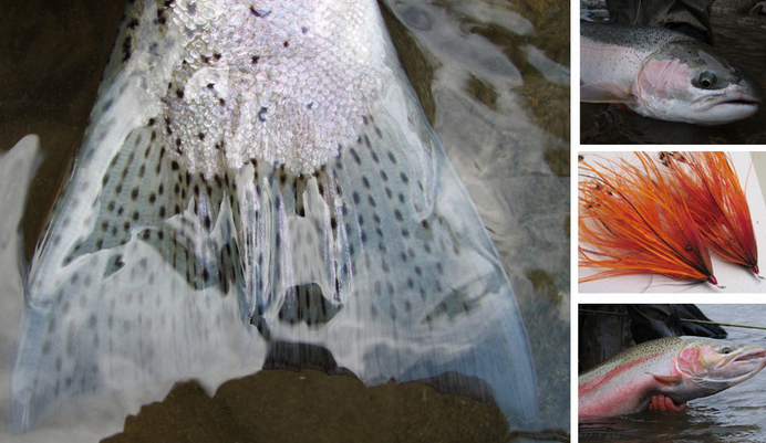 Capture d’écran 2012-04-12 à 13.10.17