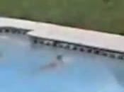 chien jette l'eau pour sauver chiot