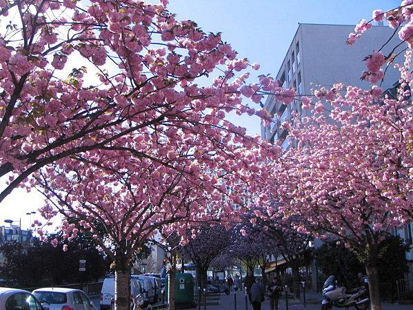 spring-025.JPG