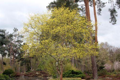 1 acer mono gb 9 avril 2012 043.jpg