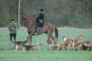 cheval_chiens_chasseurs