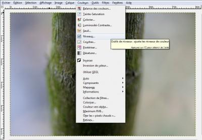 Astuce : rattraper une photographie sous-exposée avec Gimp