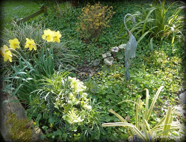 La pluie aura fait un bien fou au jardin boostant les feu...