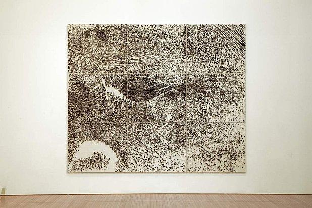 Spine-d-acacia-occhio-sinistro-2003