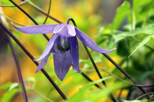 8 veneux 13 avril 2012 011.jpg