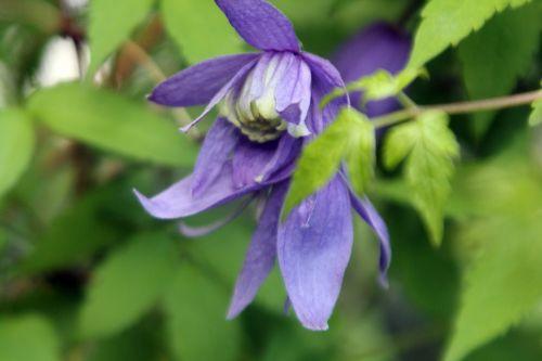 9 veneux 13 avril 2012 012.jpg