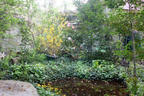 1 mare veneux 13 avril 2012 001.jpg