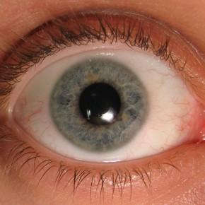 Giesbert et sa myopie