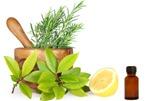 Herbs and Lemon Ingredients