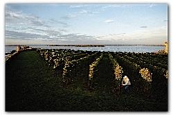 La Gironde en habits de printemps