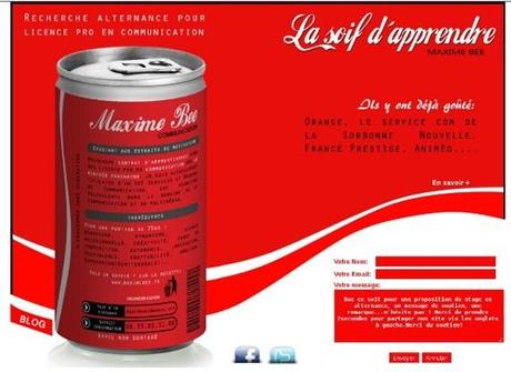 CV Maîtrise le web (et la technologie) – N°2