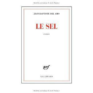 Le sel Jean Baptiste Del Amo Lectures de Liliba