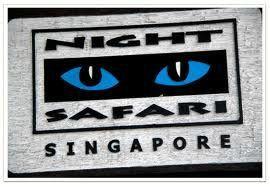 nightsafari