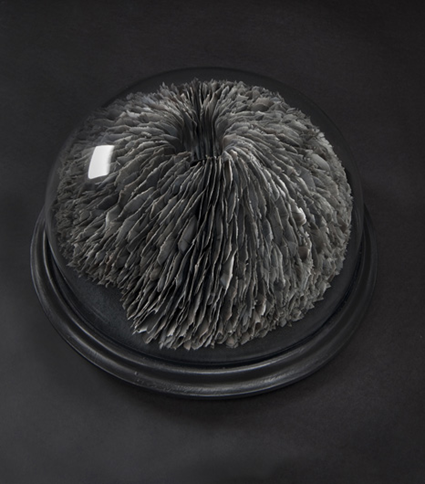 Dwell, 2010, Kate MccGwire