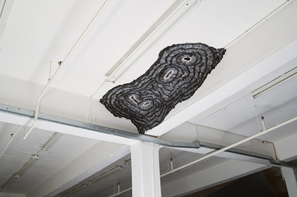 Host, 2008, Kate MccGwire