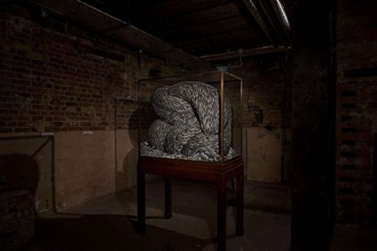 Vex, 2008, Kate MccGwire