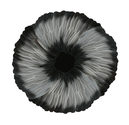 Sepal, 2007, Kate MccGwire