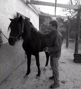 encore des problèmes d’accès au net!