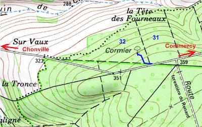 Arbre remarquable en forêt de Commercy