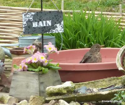 Juste un petit passage pour vous dire que l'adresse est t...