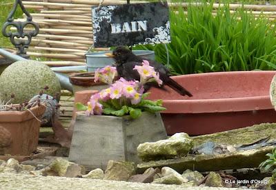 Juste un petit passage pour vous dire que l'adresse est t...