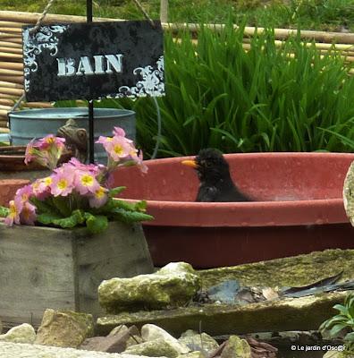 Juste un petit passage pour vous dire que l'adresse est t...