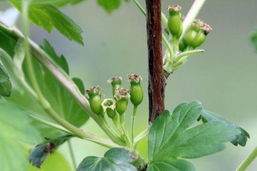 romi 13 avril 2012 089.jpg