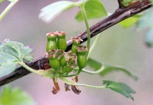 romi 13 avril 2012 087.jpg