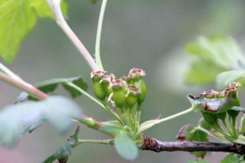 romi 13 avril 2012 088.jpg