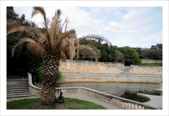 Jardins de la Fontaine, Nîmes, Languedoc, Provence, Botanique, plantes, arbres, palmiers, arbres de Judée