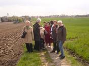 Linselles Portes Flandre belge.