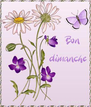 gif_bon_dimanche_fleur_mauve