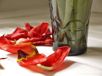 VERRE - Projet Photo 52 (semaine #15)