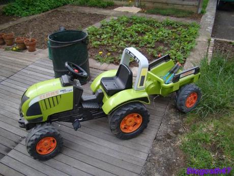 IF La photo du mois #18