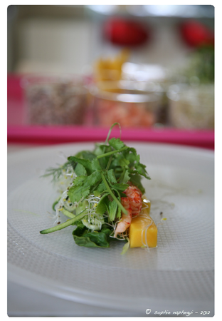 Capture d’écran 2012-04-15 à 19