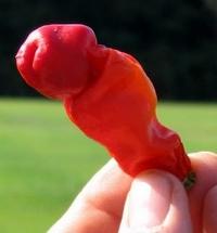 Quand l’Inde blanchit les vagins…